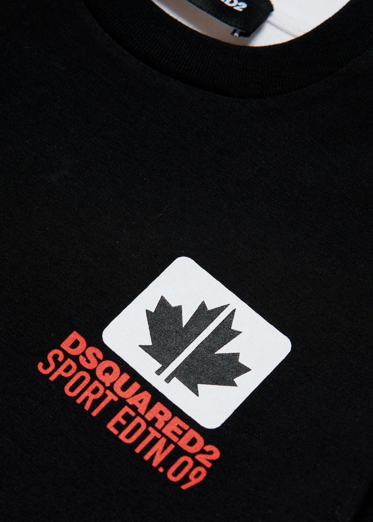 Dsquared2 Kids T-Shirt Bicolor con Grafica Leaf