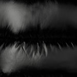  Save the Duck Piumino Nero KATE per Bambine (dettaglio)