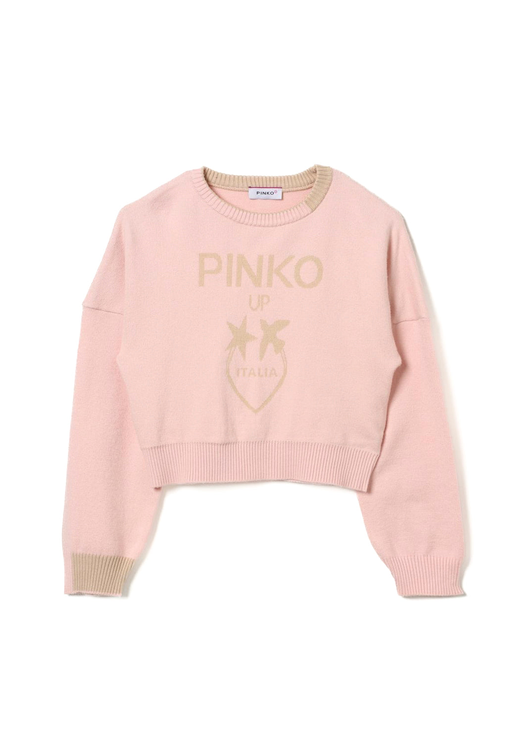 Pinko Kids Maglione Rosa con Intarso Logo per Bambine (retro)