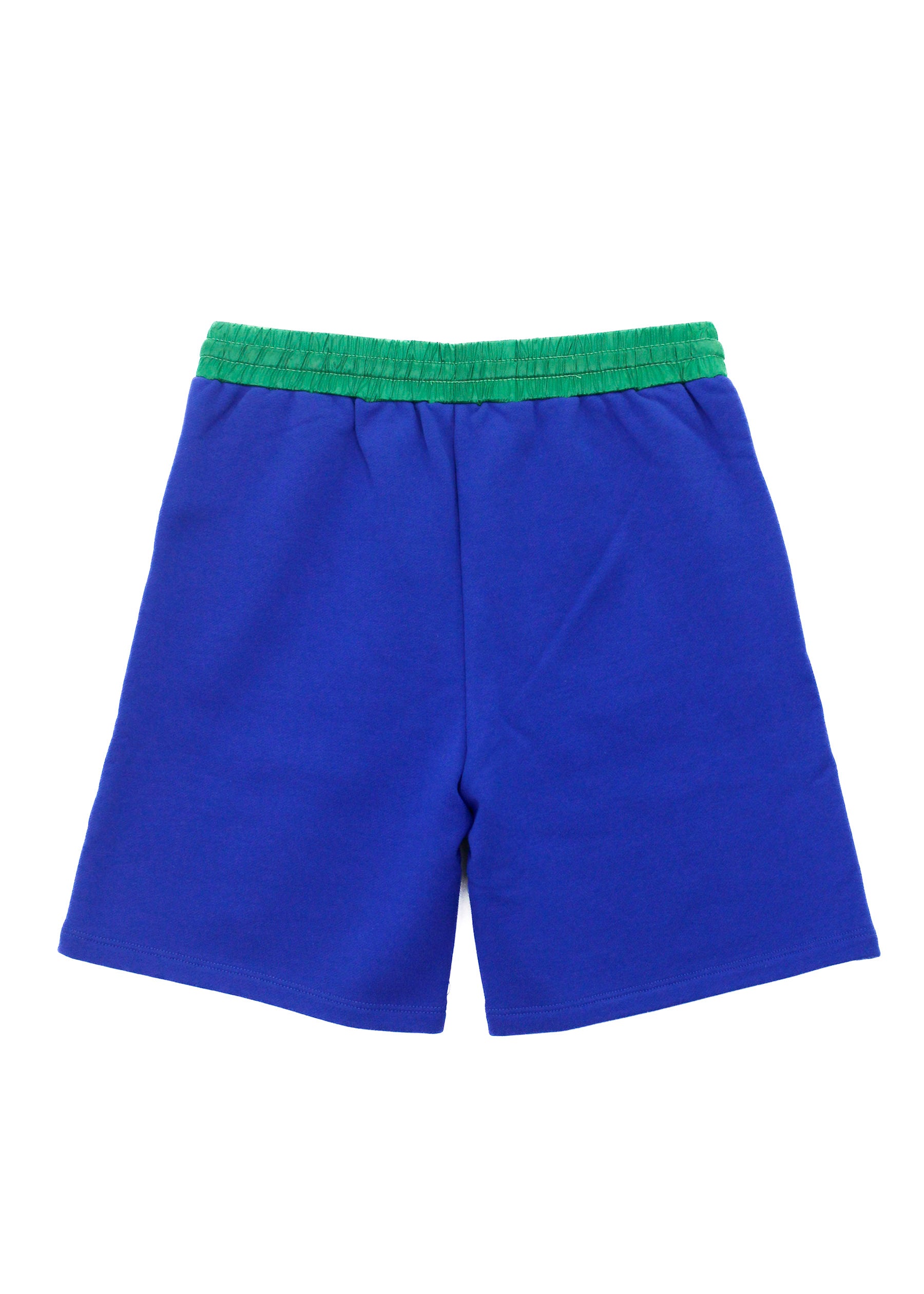 Just Cavalli Bermuda Blu/Verde con Logo per Bambini (retro)