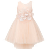 Loredana's Beautiful Pink Ceremony Dress with Flower for Little Girls