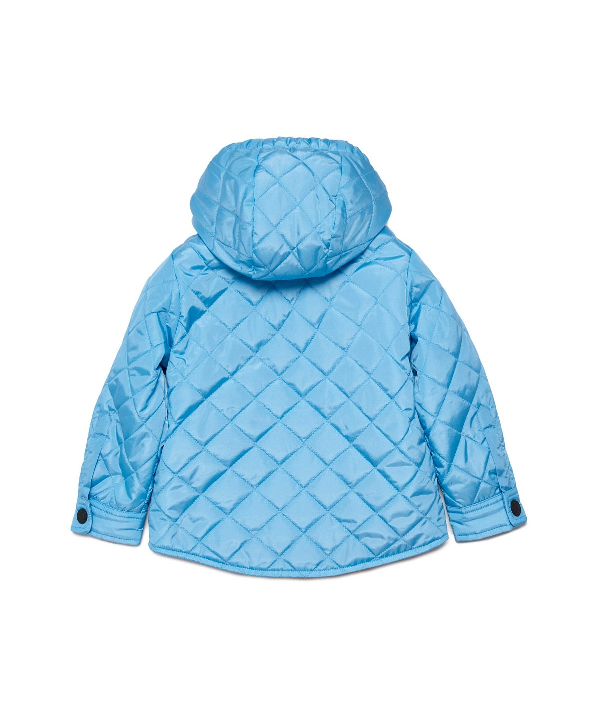 Dsquared2 Kids Piumino Lightweight con Patch Logo Surf per Neonati