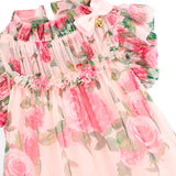 Angel's Face Pink Fantasy Dress for Girls
