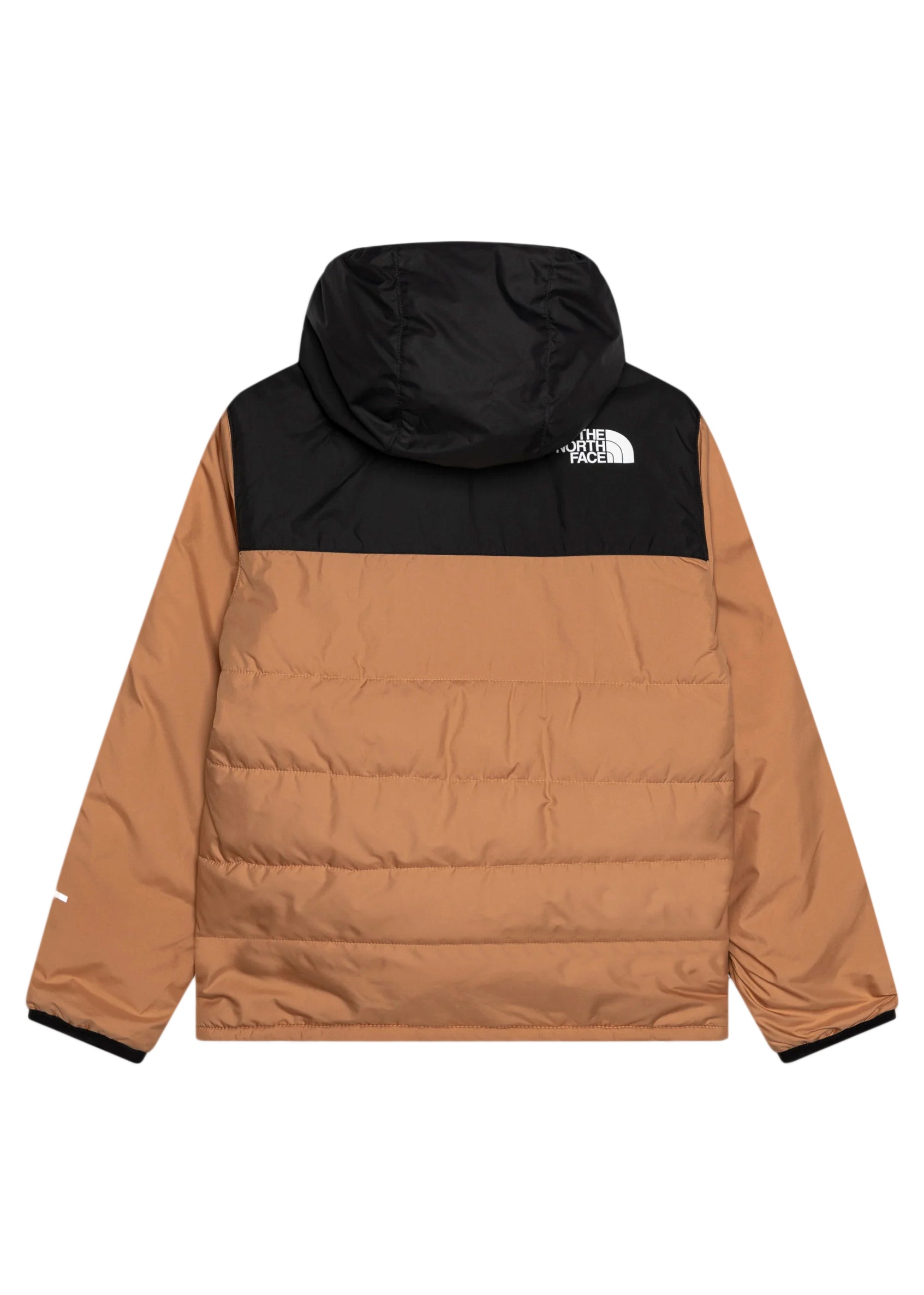 Giacca The North Face Kids Piumino "Never Stop" Color Nocciola - Florence Kids